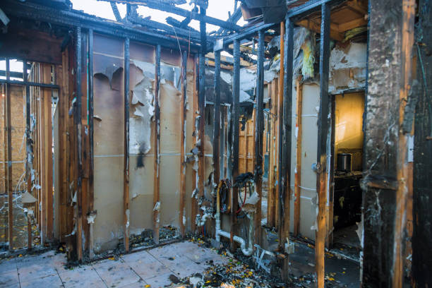 Professional Fire Damage Removal technician working in Skillman, NJ